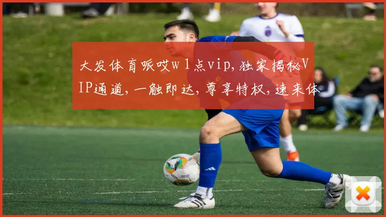 大发体育哌哎w 1点vip,独家揭秘VIP通道,一触即达,尊享特权,速来体验